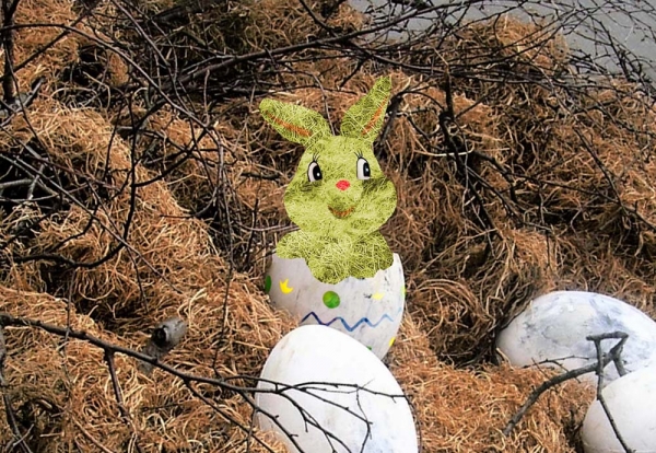 Creation of it's a BUNNY!: Step 3